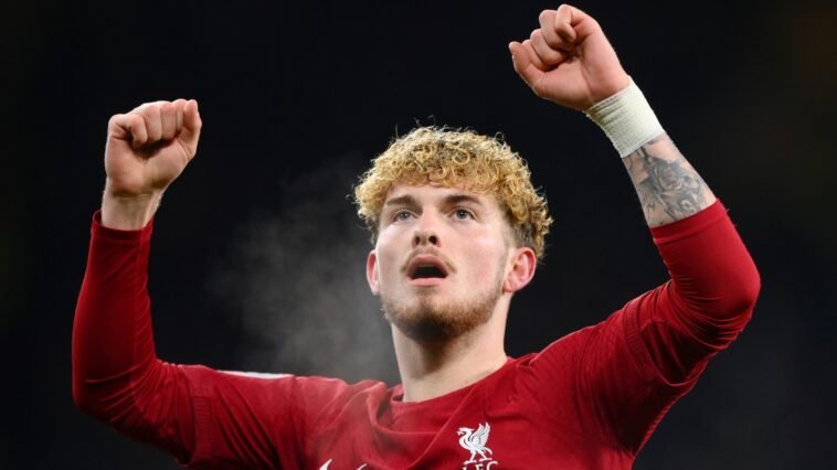 Wolves 0-1 Liverpool