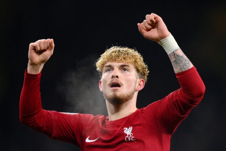 Wolves 0-1 Liverpool